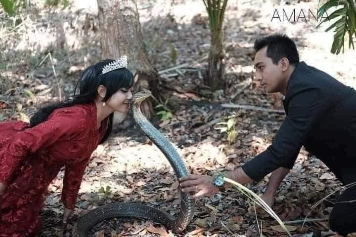 Khô bò ngon, đóng gói tốt! Và giá cả quá rẻ so với sản phẩm nhận đc