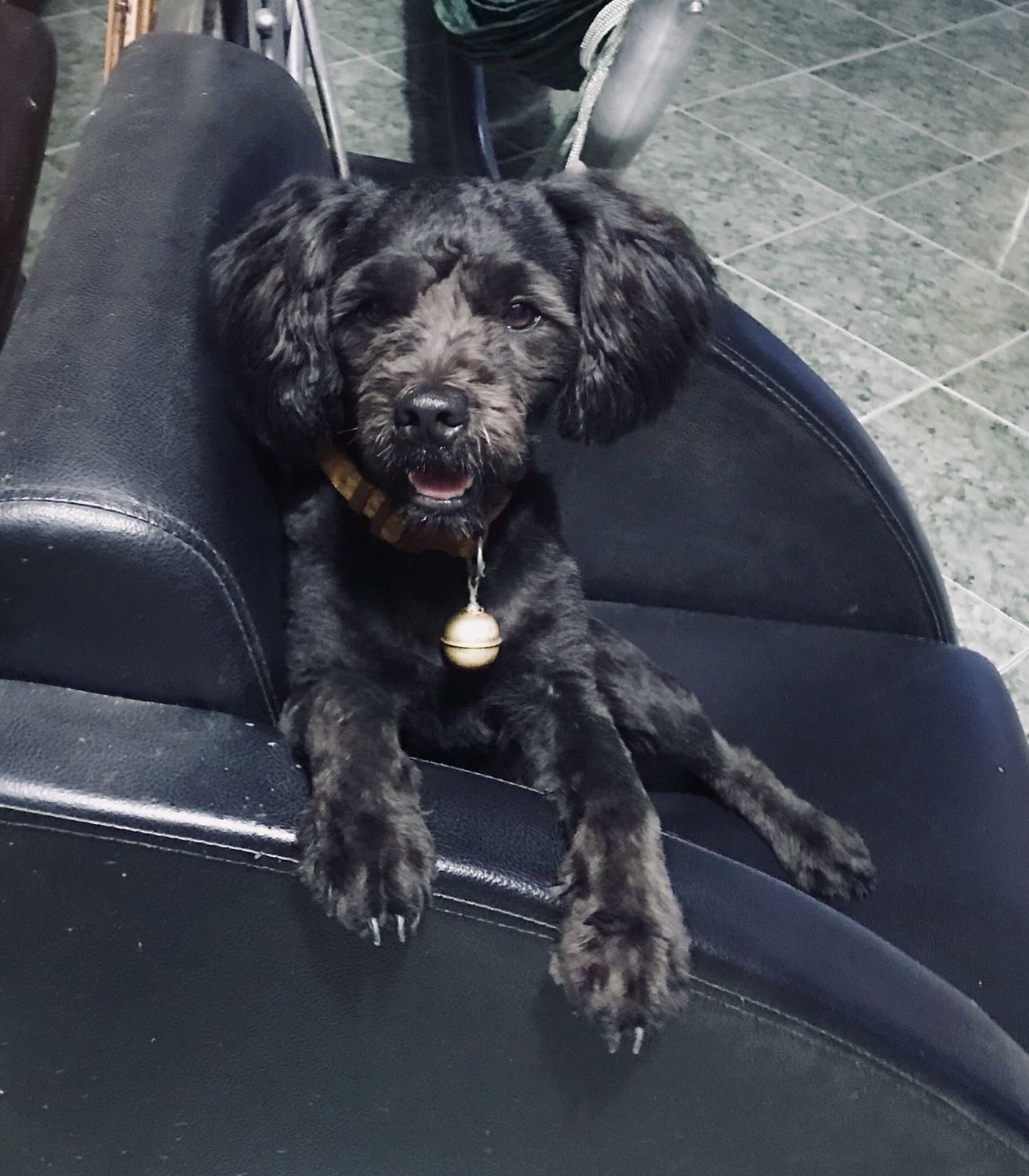 Giấy thấm dầu mỏng nhưng hút rất tốt. Mình chỉ dùng mỗi loại này do giá thấp phù hợp vs túi tiền của mình Giấy thấm dầu mỏng nhưng hút rất tốt. Mình chỉ dùng mỗi loại này do giá thấp phù hợp vs túi tiền của mình