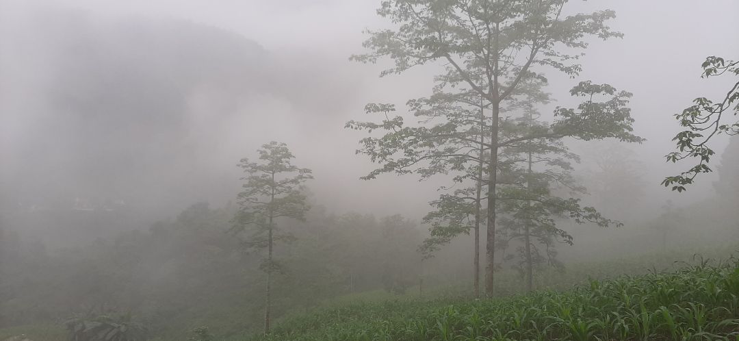 giao hàng nhanh, gọn le, sản phẩm đẹp. ủng hộ shop giao hàng nhanh, gọn le, sản phẩm đẹp. ủng hộ shop