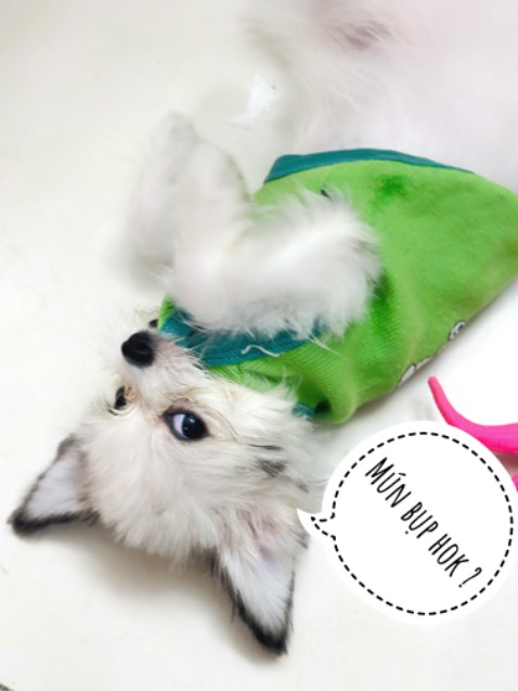 Sản phẩm rất xịn sò, đẹp ,chất lượng hoàn hảo