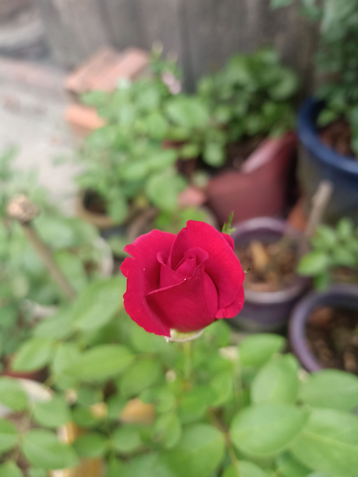 hàng quá tốt, tôi rất thích sản phẩm này, lần sau sẻ mua thêm vài cái nữa