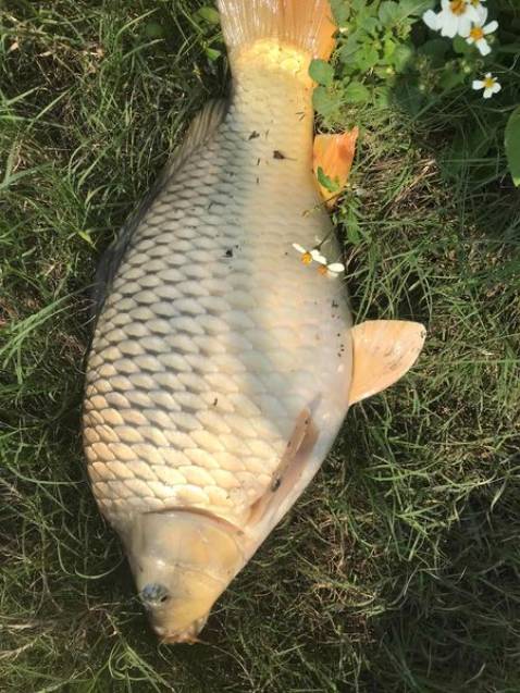 ghế ok, giao nhanhhhhhhhhhhhhhhhhhhhhhhhhhhhhhhhhhhhh