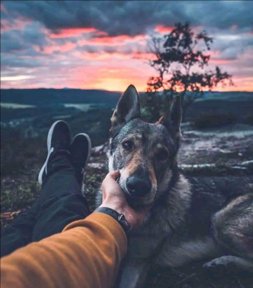 sản phẩm chấp nhận được trong tầm giá, giao hàng tương đối nhanh sản phẩm chấp nhận được trong tầm giá, giao hàng tương đối nhanh