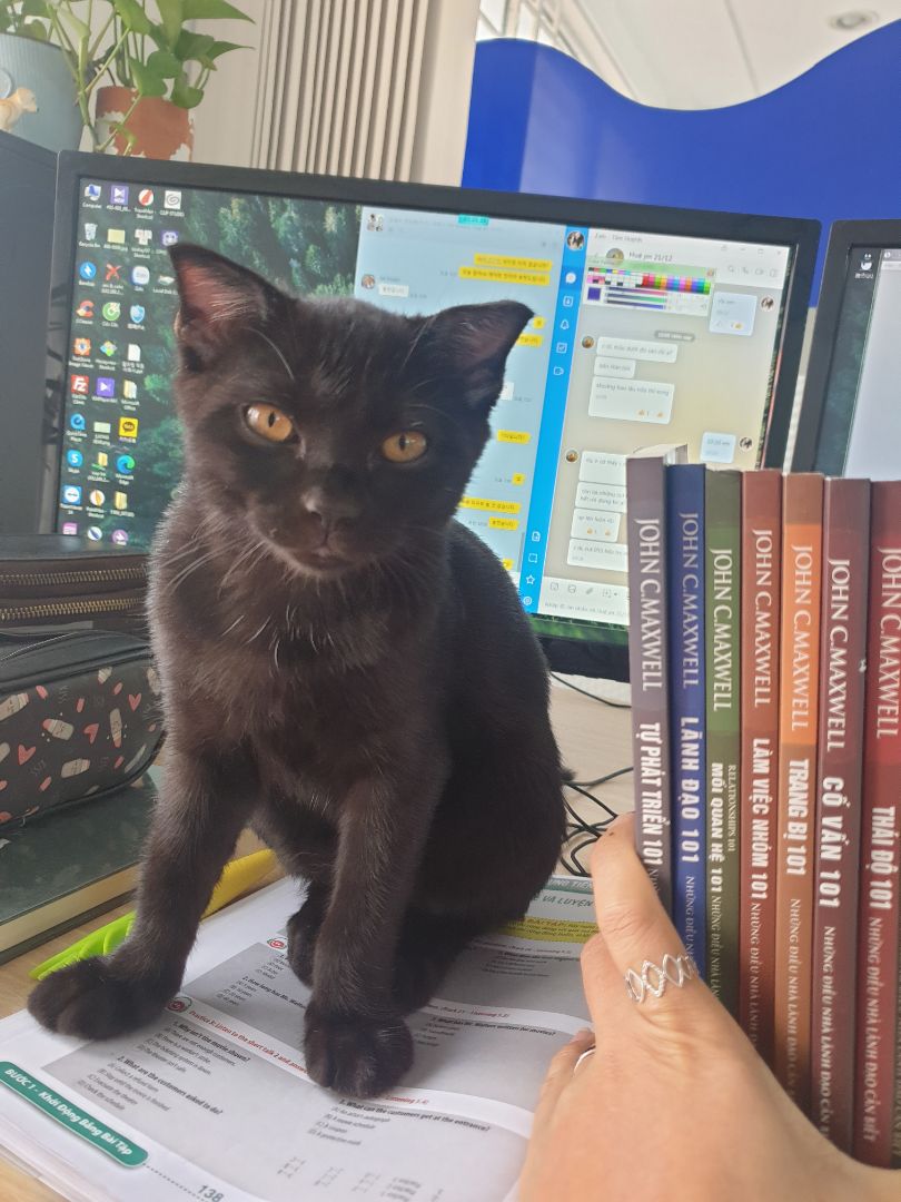 sách hay đág đồng tiền bát gạo. ai cũng nên đọc. rất phấn khích khi mua bộ sách