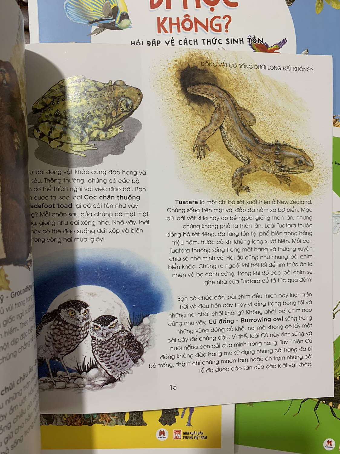 Sách rất ok nội dung hay giao hàng nhanh mình ưng y ne nen sẽ mua tiếp