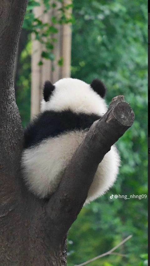 Đang uống. Chưa biết kq như thế nào. Nếu ok sẽ mua lại lần 2