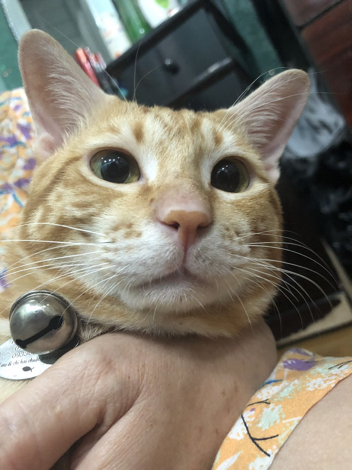 Truyện mới tinh, đóng hàng kĩ lưỡng