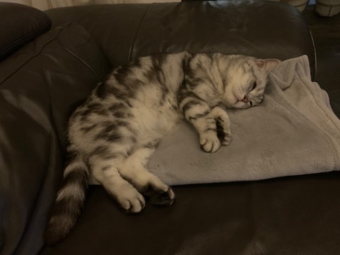 Rất nhiều kiến thức vật lí và thiên văn