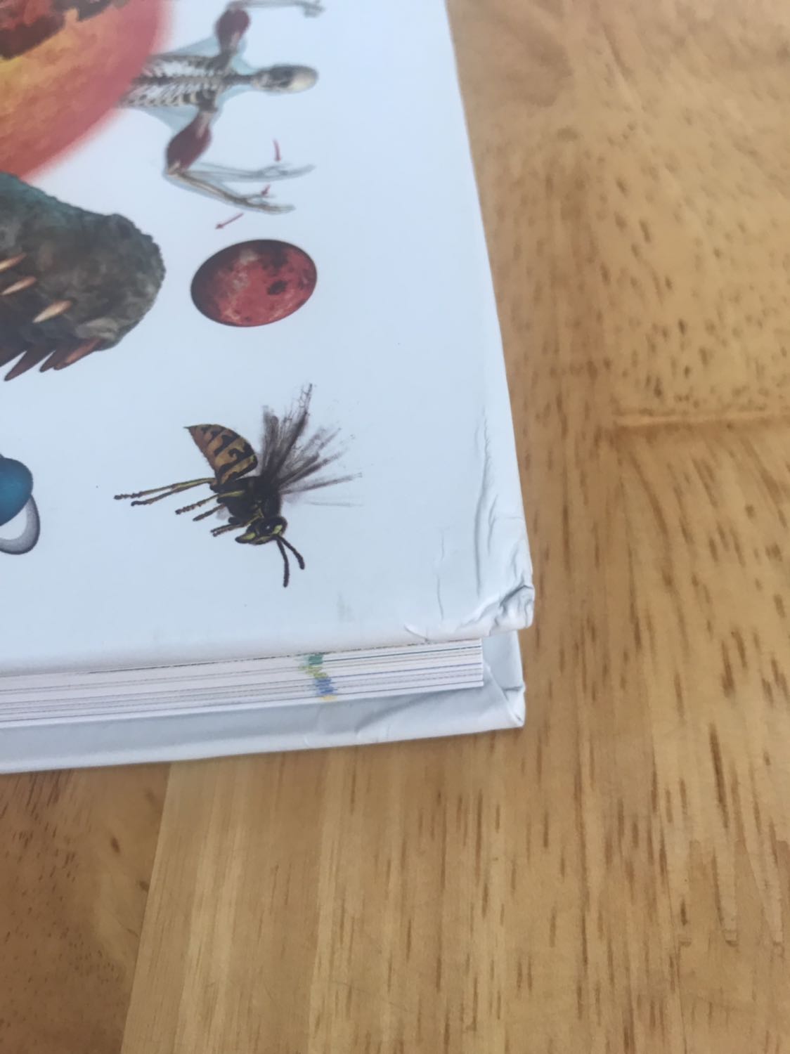 Mua hàng tiki nhiều nên nhận thấy dịch vụ tiki ngày càng tệ. Đóng gói rất sơ sài, bọc giấy lỏng lẻo không có mút đệm như fahasa nên sách bị dập gáy ở các cạnh. Sách nặng nhưng cầm rất lỏng lẻo, bị bung gáy một ít.

Về đơn vị giao hàng BEST thì nhiệt tình và thân thiện.

Về nội dung thì rất hay, hình ảnh đẹp, phù hợp cho mọi lứa tuổi.