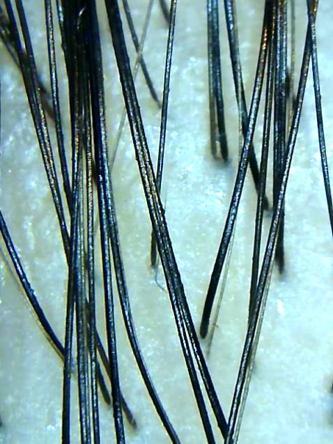 Là một người nghiêng cứu về tóc mình tìm hiểu tất cả các sp để đưa ra được giải Pháp tốt nhất cho khách hàng của mình. 
Mình sẽ đánh giá lại sau khi sử dụng 2 tháng