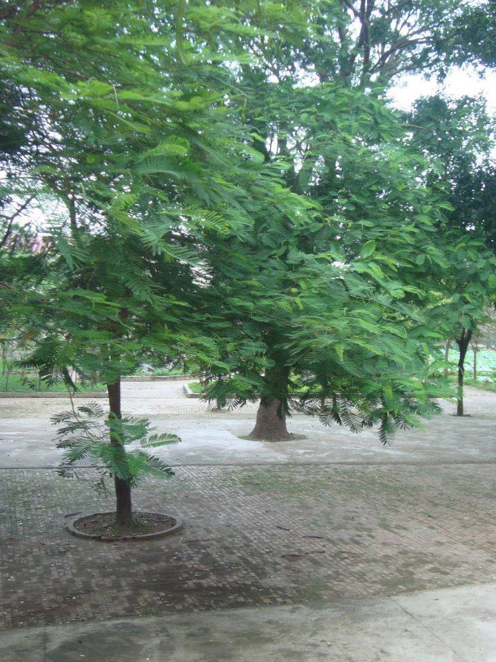 Đã nhận đc sách nh chưa xem vì k có nhà