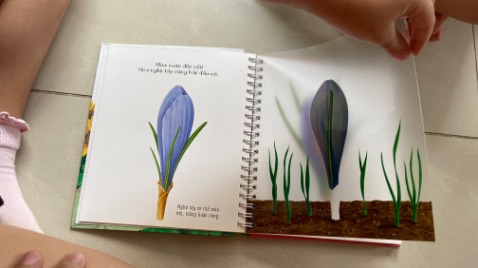 Sách màu quá đẹp, in giấy cứng, nội dung tuyệt vời, rất phù hợp với các bạn dạy theo pp Montessori