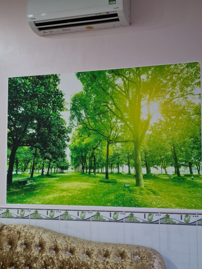 cực kì hài lòng . đóng gói rất kỉ . tranh đẹp 
sẽ mua ủng hộ shop thêm