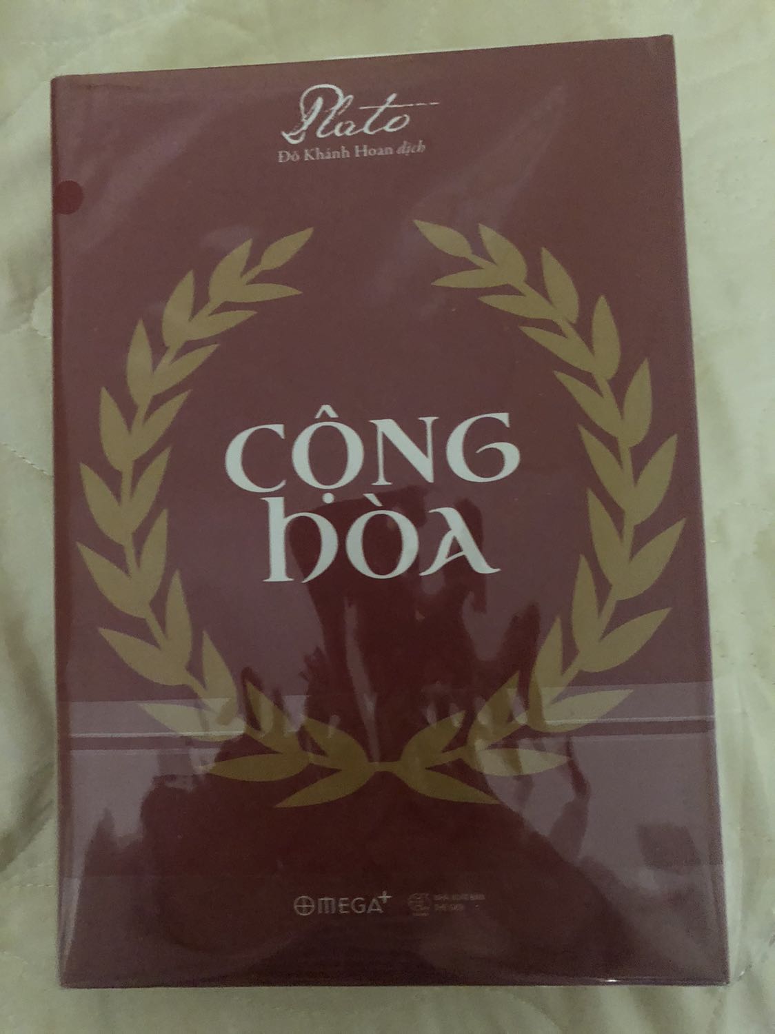 Nhận được hàng đúng như dự tính thời gian ship. Mình có đọc mấy chương đầu rồi, cảm thấy bản dịch này còn cần sửa nữa. Editor vs bên dịch phải làm việc thêm khiến bản dịch mềm mại và “thuần hoá” hơn, sửa lỗi dấu câu, chính tả, và từ ngữ sử dụng trong sách, nhiều khi cảm thấy các từ dịch rất hoa lá không cần thiết. Câu từ và dấu câu vẫn để theo phong cách tiếng nước ngoài rất nhiều. Cấu trúc câu không thuần với logic viết câu của tiếng Việt.