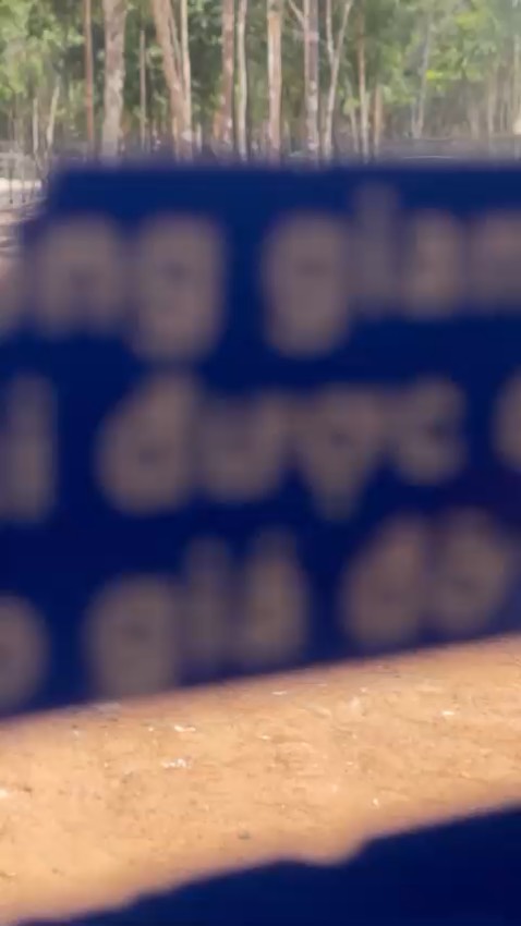 Tả dùng êm, thấm hút tốt, không bị loét mông