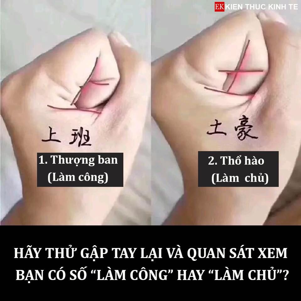 Khuôn mỏng mảnh, chưa dùng thử nên chưa biết chắc sự hữu dụng.