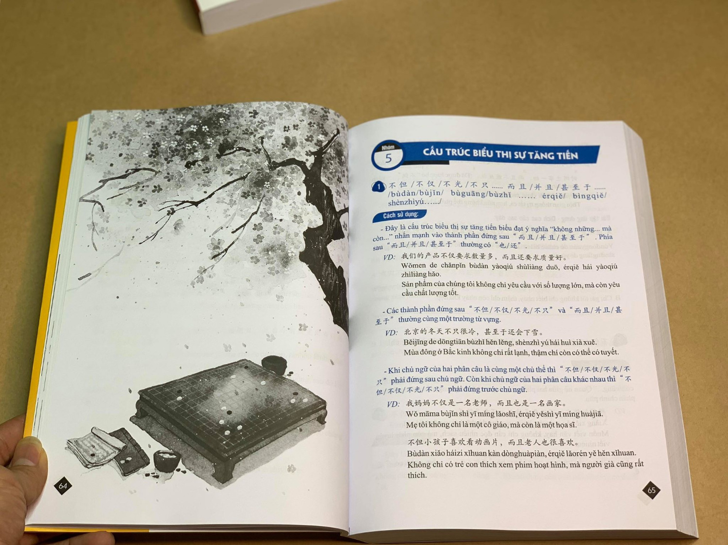Đây là cuốn sách về các cấu trúc tiếng Trung hay nhất từ trước tới giờ mà tôi biết. Sách dễ hiểu, tính ứng dụng thực tế cao và đặc biệt là đầy đủ phiên âm. 
Tôi thấy bạn nào mà muốn học tiếng Trung thì nên mua cuốn sách này về ngay