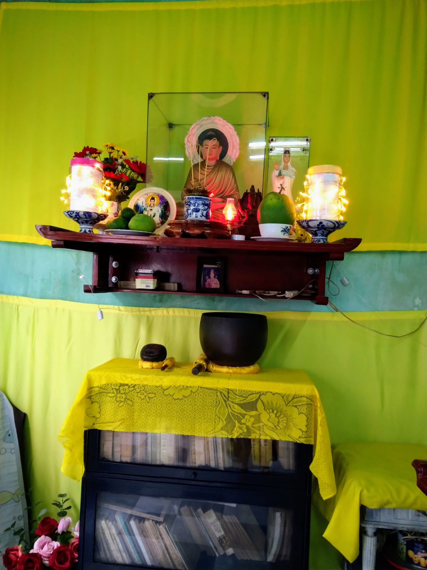 cây đẹp lắm, tươi tắn , rất hài lòng. cám ơn shop , chúc may mắn và phát tài nhiều