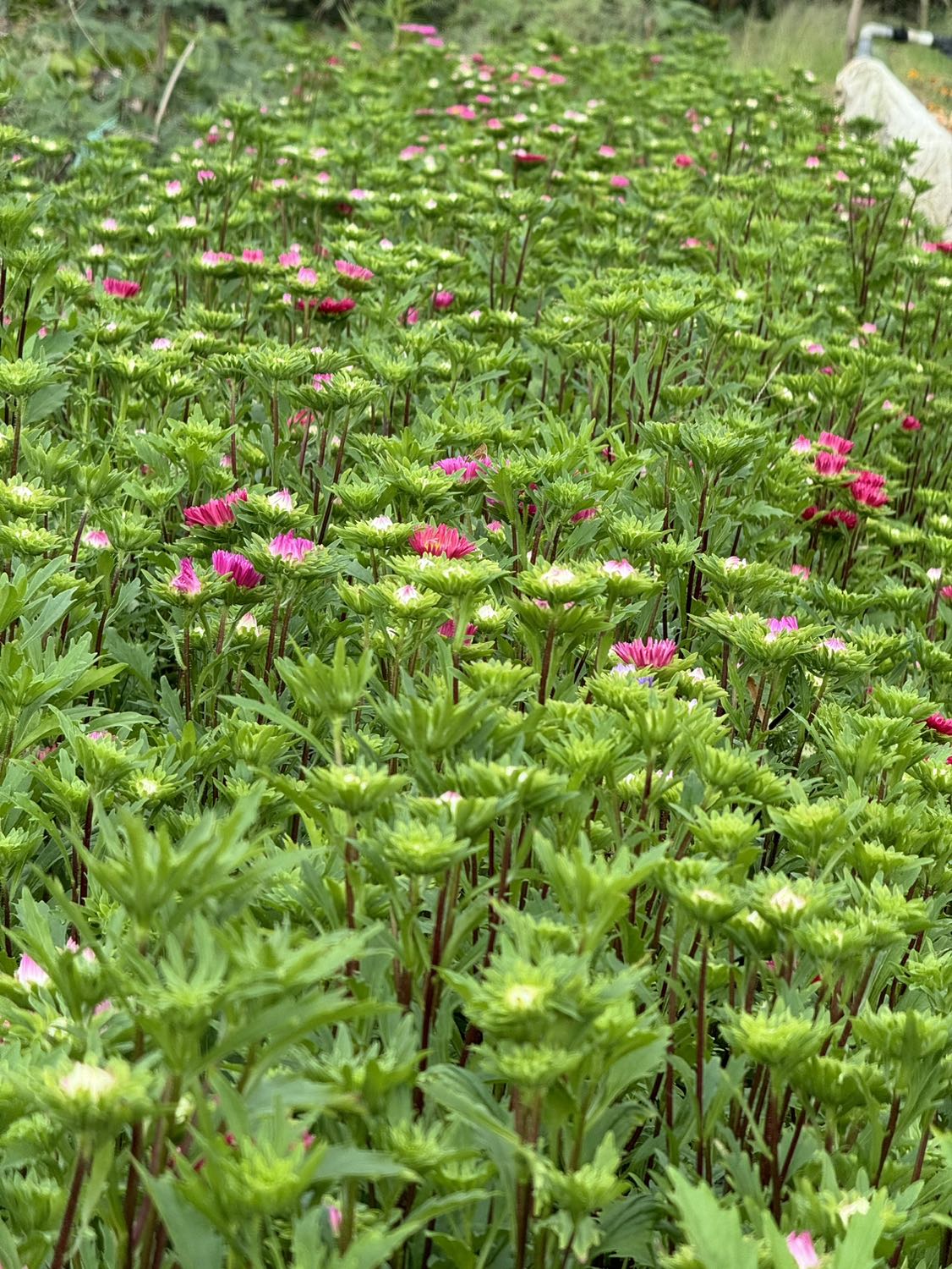 ok, rất tốt và rất hay, giao hàng nhanh , đóng gói cẩn thận.