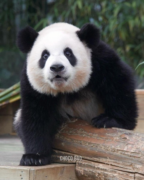 Sách đọc dễ hiểu