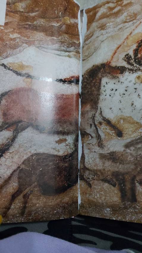 Không nói về nội dung vì mình chưa đọc. Nhưng về hình thức thì:
Sách bị cong nhưng một chút thôi và còn nguyên seal nên mình bỏ qua, nhưng đến lúc mở ra thì khs cứ trang nào in màu toàn trang là lại bị dính phần đầu vào nhau ntn :D mình thử mở bằng tay 1 trang thì bị rách phần góc của trang này dính vô trang kia ngư vầy. Mấy trang tiếp theo cũng bị dính vậy xong mình dùng dao rọc giấy tách nhẹ để đỡ thô bạo hơ mà nó cũng vẫn dính, có khi còn dính nhiều hơn :) Mua tiki nhiều r mà lần đầu tiên gặp ph tình trạng này luôn ạ :) 
Ps: nãy cho 3 sao r đấy nhưng mà lướt qua nội dung thì lại thấy thôi đc rồi hơn 200 trang lỗi 4 trang (mặc dù ko phải lỗi nhỏ lắm) đánh giá 'tệ' cảm giác có vẻ nghiêm khắc, tôi + thêm 1 sao cho nội dung hay và cho những tờ còn lại vậy =)))))