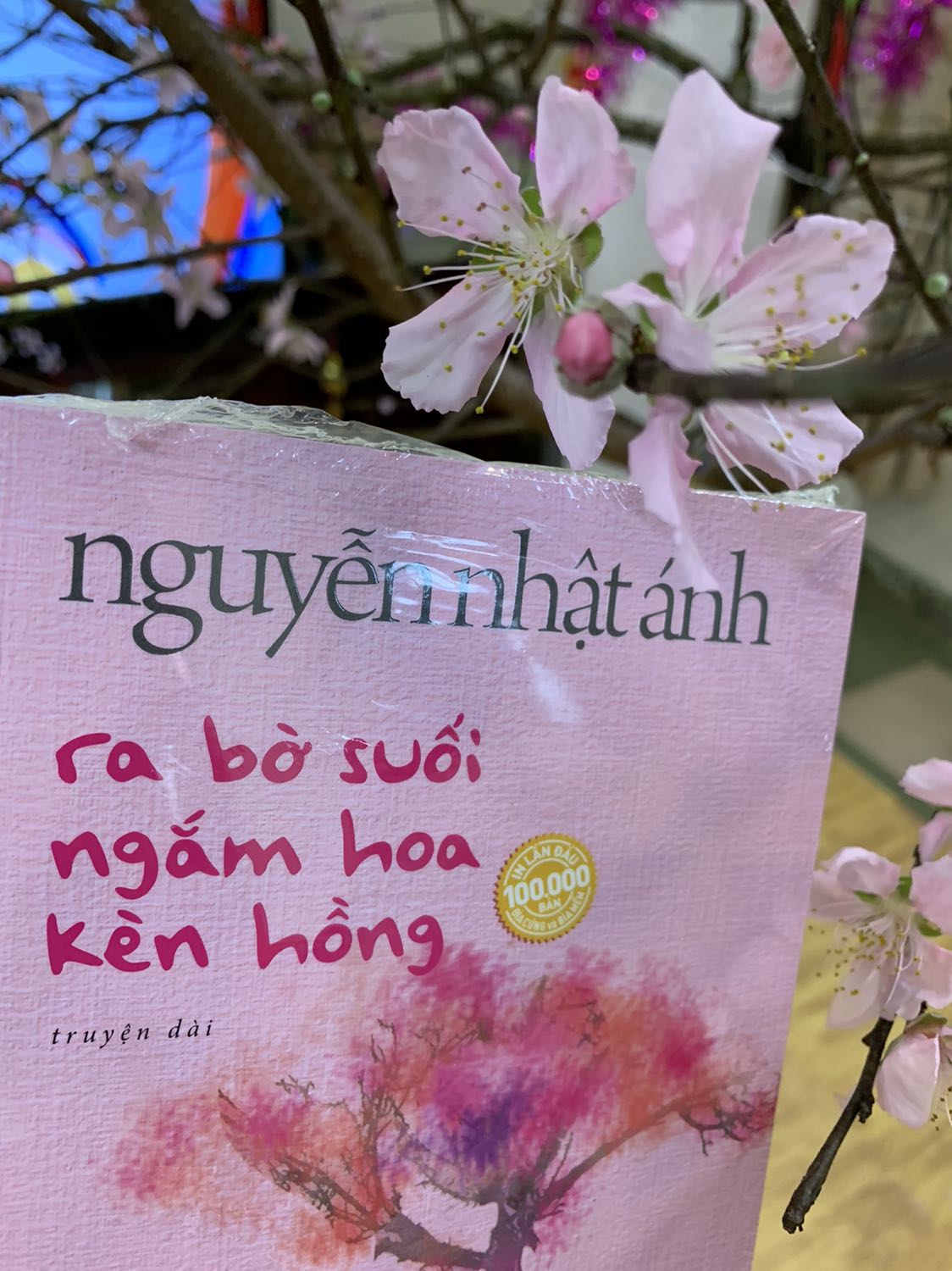 Mình mua từ trc Tết, Tiki hẹn giao 8/2 dương mà hên quá ngày 27 âm đã giao.
Mùi sách thơm phức, cuốn sách tuyệt đẹp, bookmark xịn xò và quan trọng hơn cả là câu chuyện nhân văn vô cùng của bác Ánh.
Ngòi bút viết về nỗi buồn đang tìm đến đào hang và làm tổ trong lòng cô gà con, về nỗi đau để lại vết xước trong lòng cô, về bông hoa đang nở rộ trong lòng .... bút lực và ngôn ngữ của bác Ánh mới tuyệt vời làm sao.
Vừa đọc vừa trầm trồ về những từ ngữ đắt giá, về khả năng diễn tả tâm lý, hay khả năng định nghĩ lại vài từ (như 'đời tư' hay nhiều từ khác).
Và hơn cả là mạch truyện làm người ta ồ lên ở phút cuối.
Hoá ra, ra bờ suối ngắm cây kèn hồng không phải hẳn là ngắm cây kèn hồng.
Hoá ra dưới cây kèn hồng không chỉ là câu chuyện của hai con gà đã kịp lớn tương đương nhau.
Dưới cây kèn hồng, bên bờ suối, còn là 'kỷ niệm'.
Cảm ơn bác Ánh rất nhiều.
