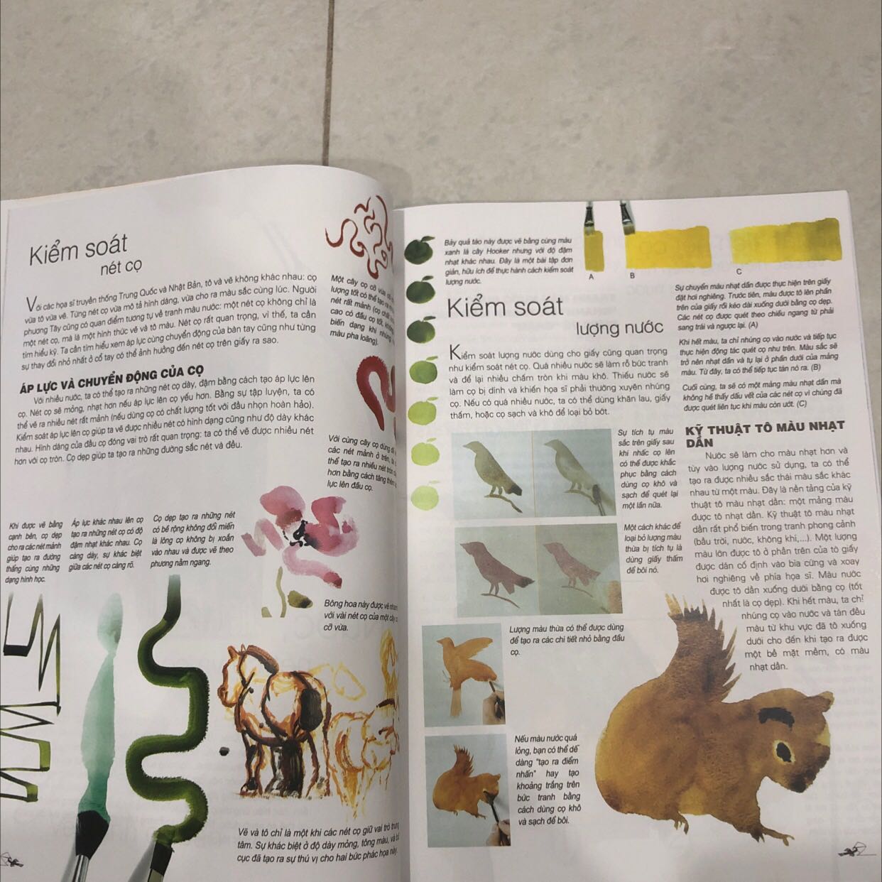 Giao hàng cực nhanh. Đongs gói cẩn thận. Chất lượng in cực tốt. Hình minh hoạ đẹp lắm. Chưa đọc hết nhưng nói chung viết dễ hiểu