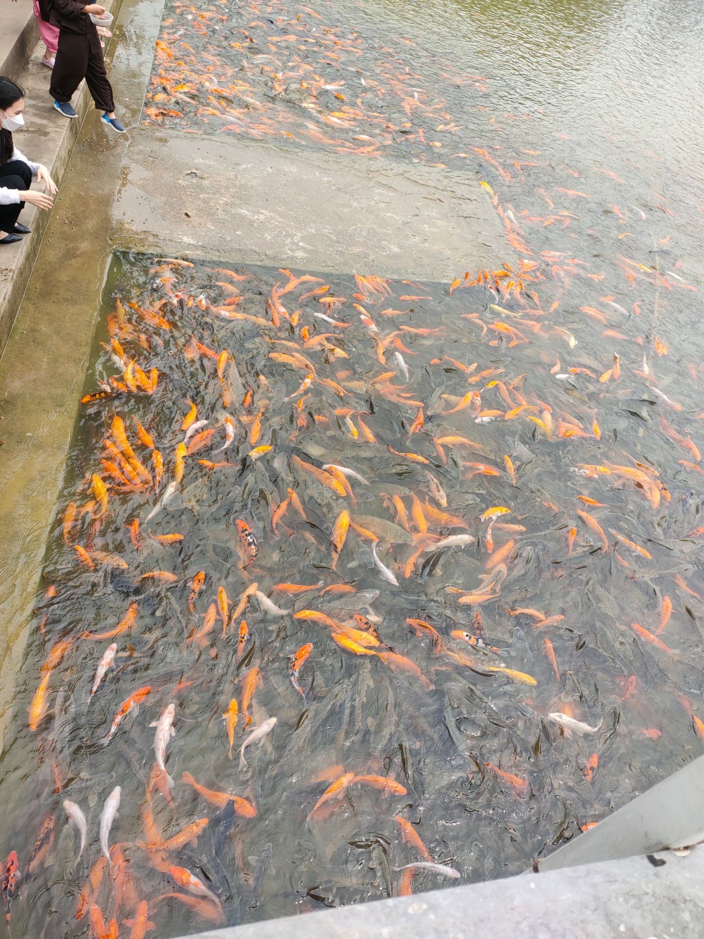 bộ sp quá tiện ích, gọn gàng hẳn tủ đồ của mình, thanks shop