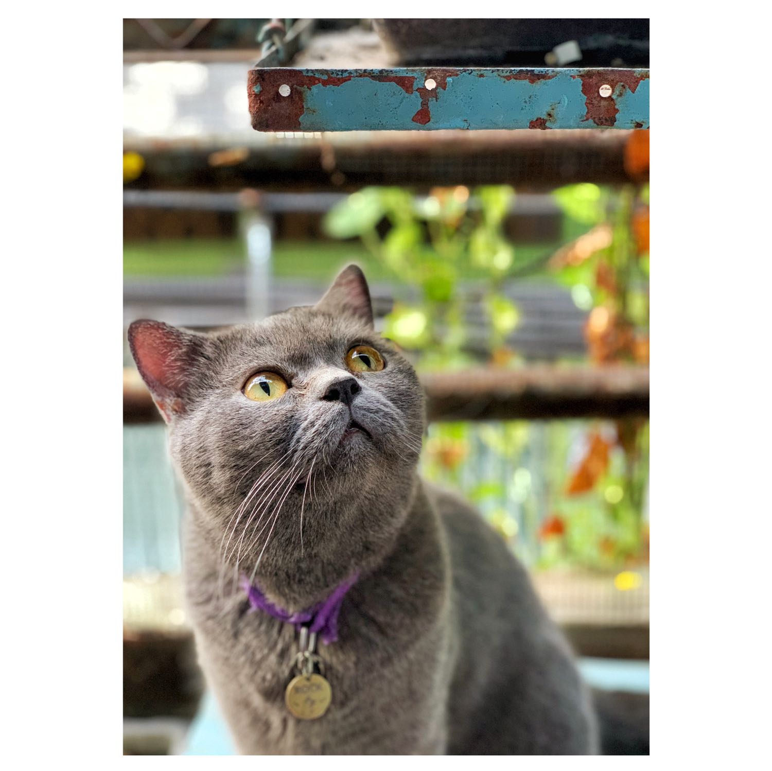 Túi mỏng lắm, túi mỏng lắm