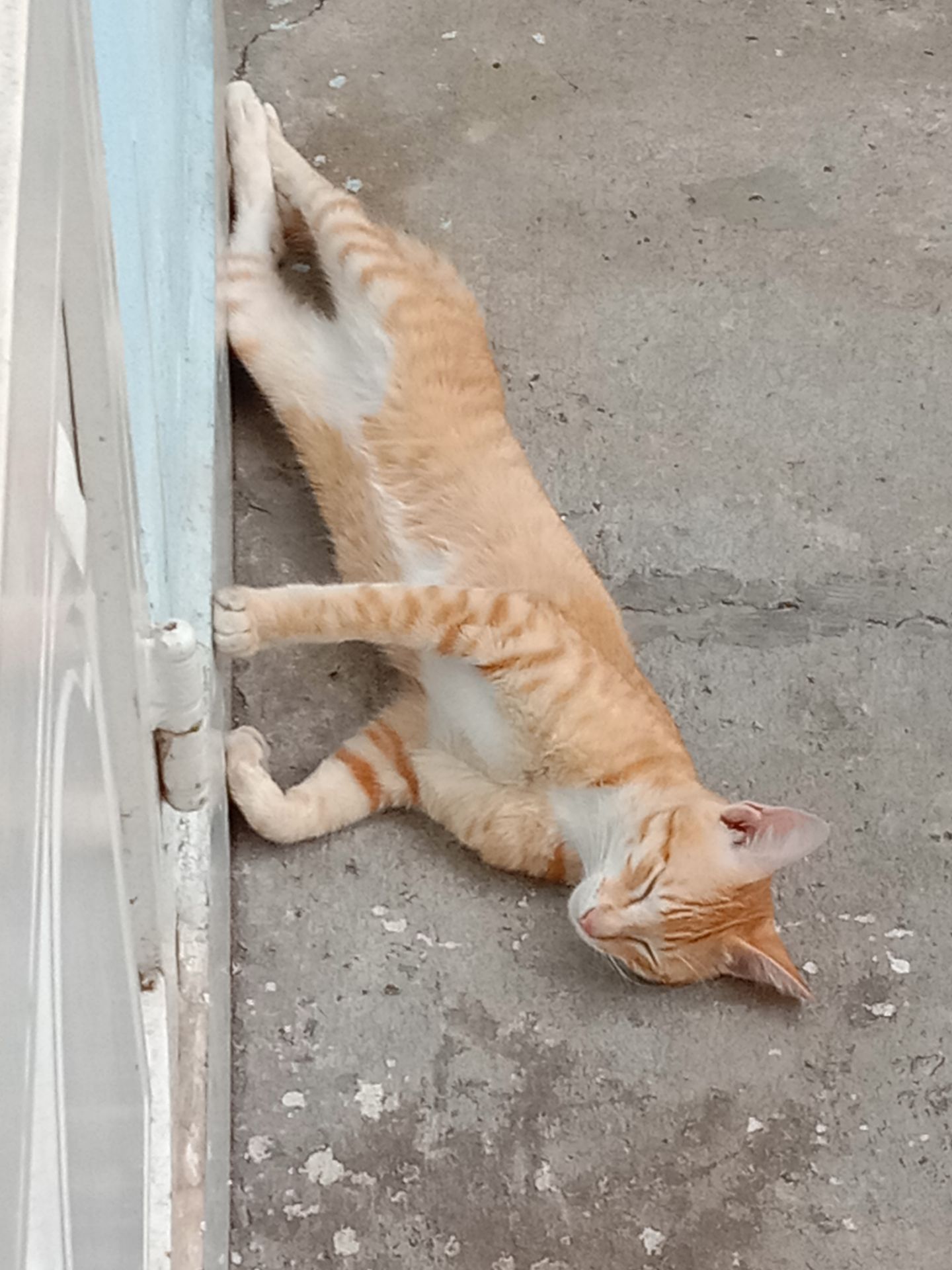 áo đẹp mà phần ngực nhô ra hơi nhọn