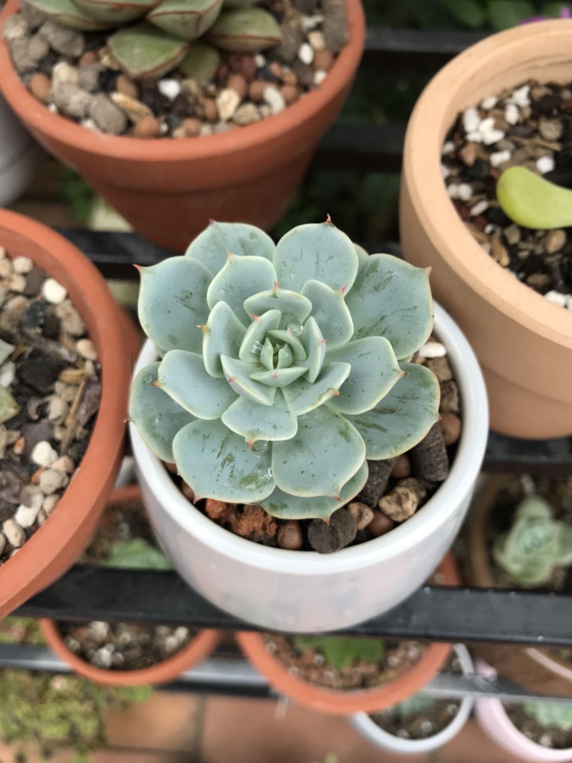 Sách bìa cứng, in màu đẹp, hình vẽ minh hoạ đẹp. Bé rất thích. Sản phẩm đóng gói chắc chắn, cẩn thận, ship hàng hơi lâu chút.