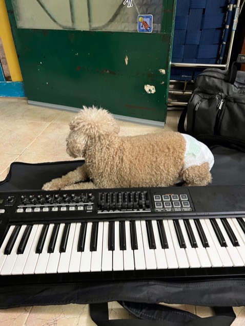 Sản phẩm này đúng như ma tổ, sản phẩm được đóng gói cẩn thận và đẹp mắt. Sẽ ủng hộ cho shop lần sau nếu còn sống và còn tiền sau đại dịch này.