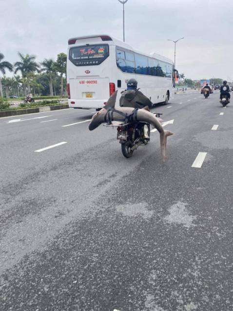 Món hàng rất chi là ok dầy đủ mọi cái nhìn hơi mong manh nhưng chắc kbsao