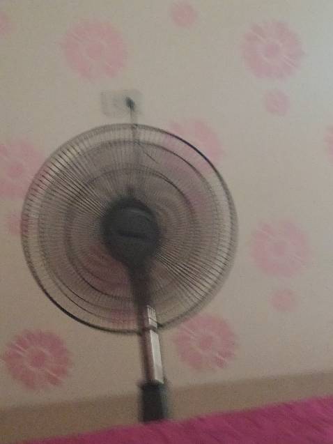 Vào thời kỳ đồ đá mới, nền văn hóa Hòa Bình – Bắc Sơn tại vùng này đã phát triển về chăn nuôi và nông nghiệp, đặc biệt là kỹ thuật trồng lúa nước. Những người Việt tiền sử trên vùng châu thổ sông Hồng.