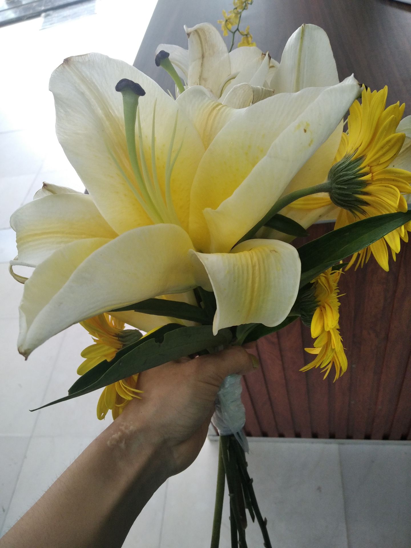 giáo hàng nhanh, cây vẫn khoẻ. Đóng gói cẩn thận