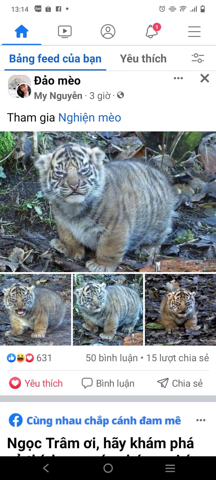 rất tốt rất đẹp mọi người nên mua nhé