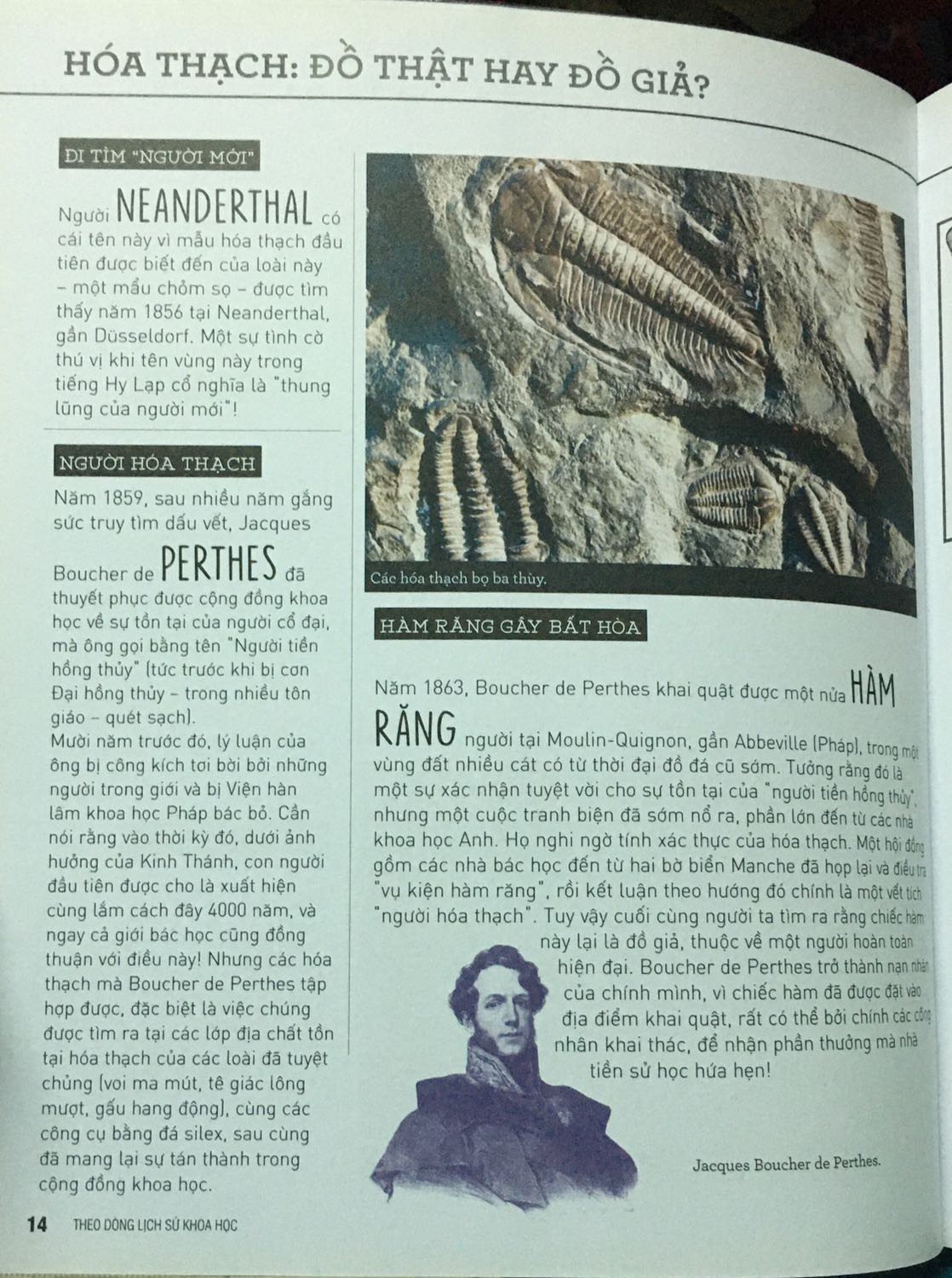 Sách khá hay. Vì chỉ nói sơ chứ chưa có trọng tâm của một vấn đề lịch sử. Nên chỉ cung cấp thông tin cơ bản.