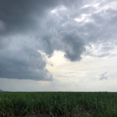 Nhỏ hơn mình tưởng, không màu, mùi nhẹ nhẹ sd thấy man mát lúc đầu, sài cũng được.