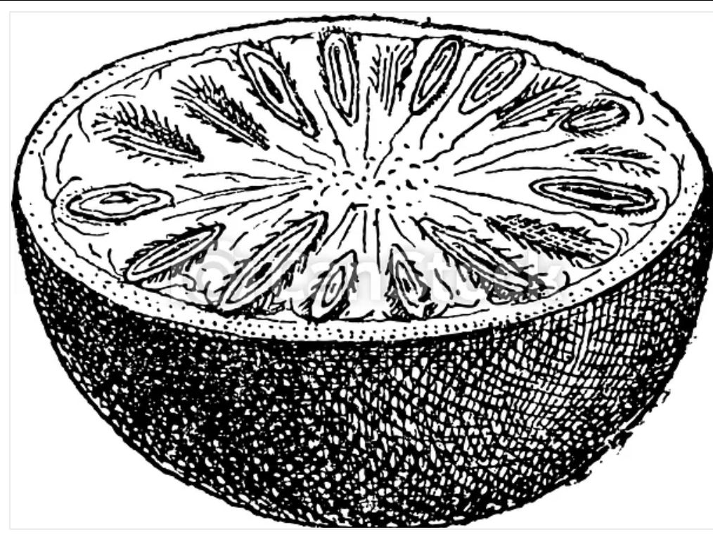 đã nhận được hàng, đóng gói rất kĩ, rất nhiều lớp luôn ấy, chai thủy tinh rất chất lượng, nhanh hàng muộn hơn dự kiến tầm 1 2 ngày