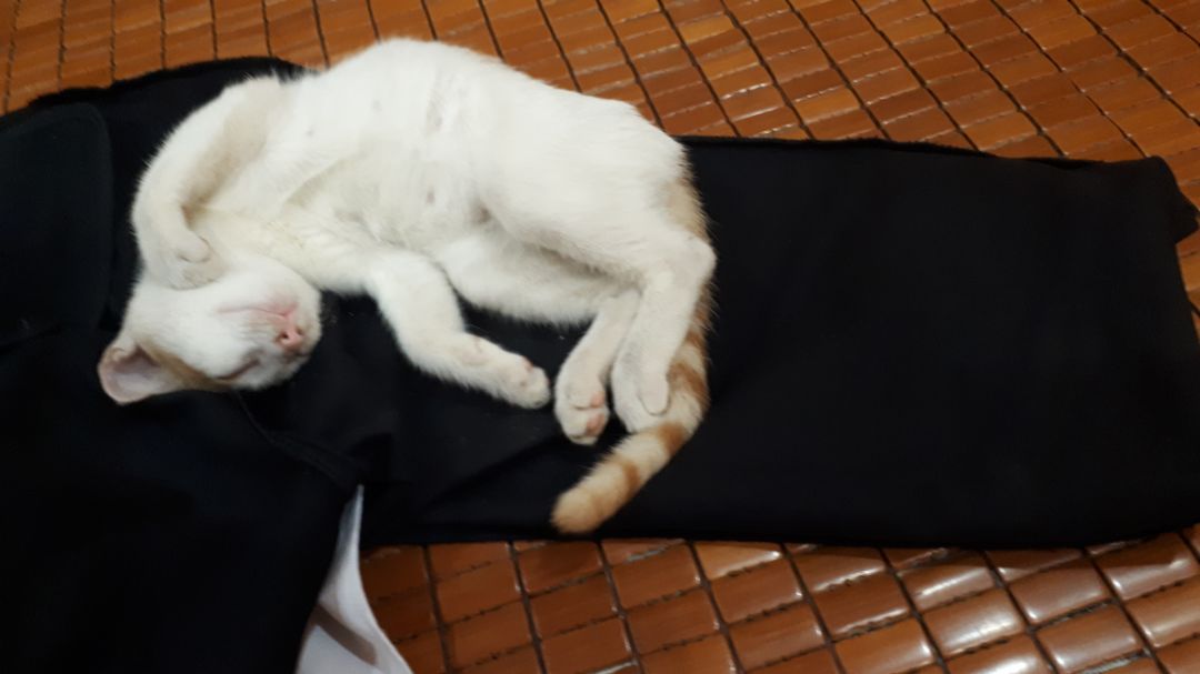 sản phẩm chất lượng, giao hàng khá nhanh sản phẩm chất lượng, giao hàng khá nhanh