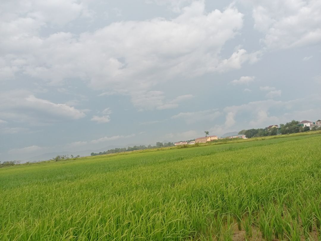 nội dung phù hợp