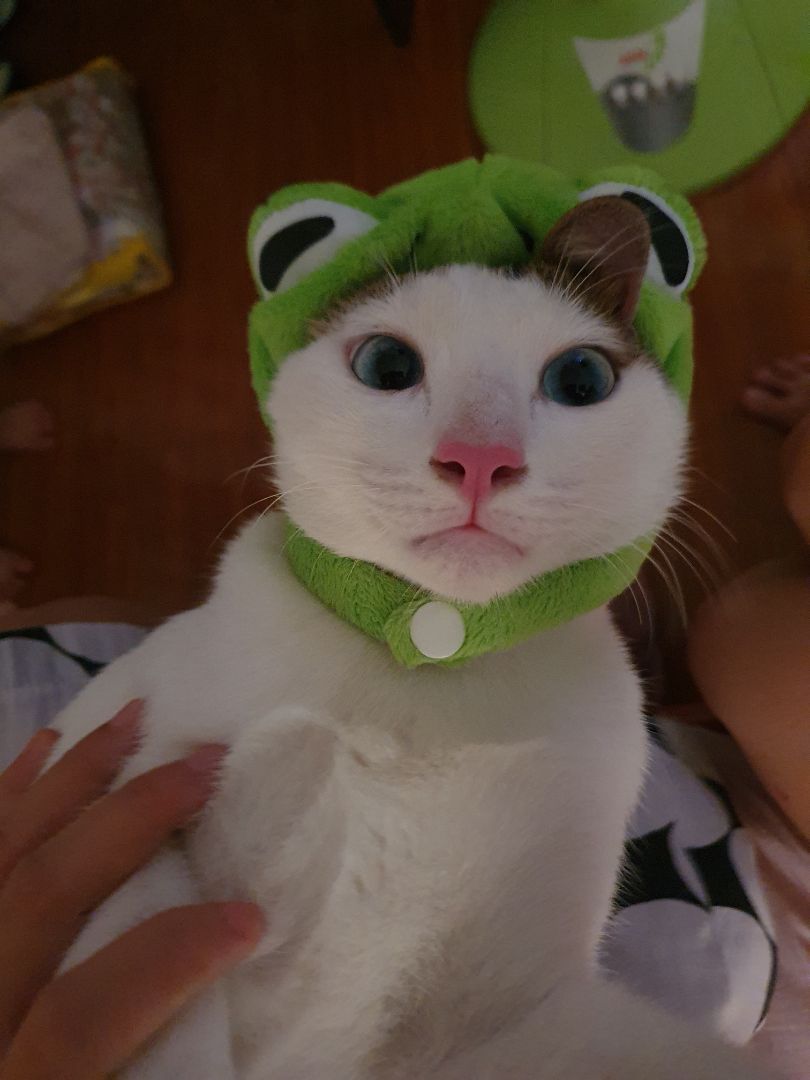 Mua Tiki hay có mã giảm giá 50k. Mua shop nhiều lần, đóng gói tốt, hsd còn dài.