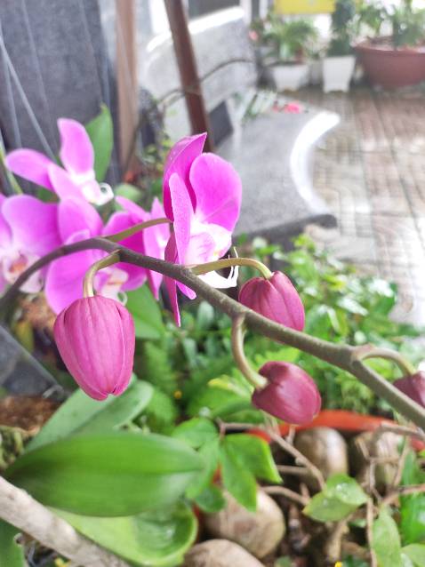 Sách hay, ý nghĩa, in ấn tốt, giao hàng nhanh