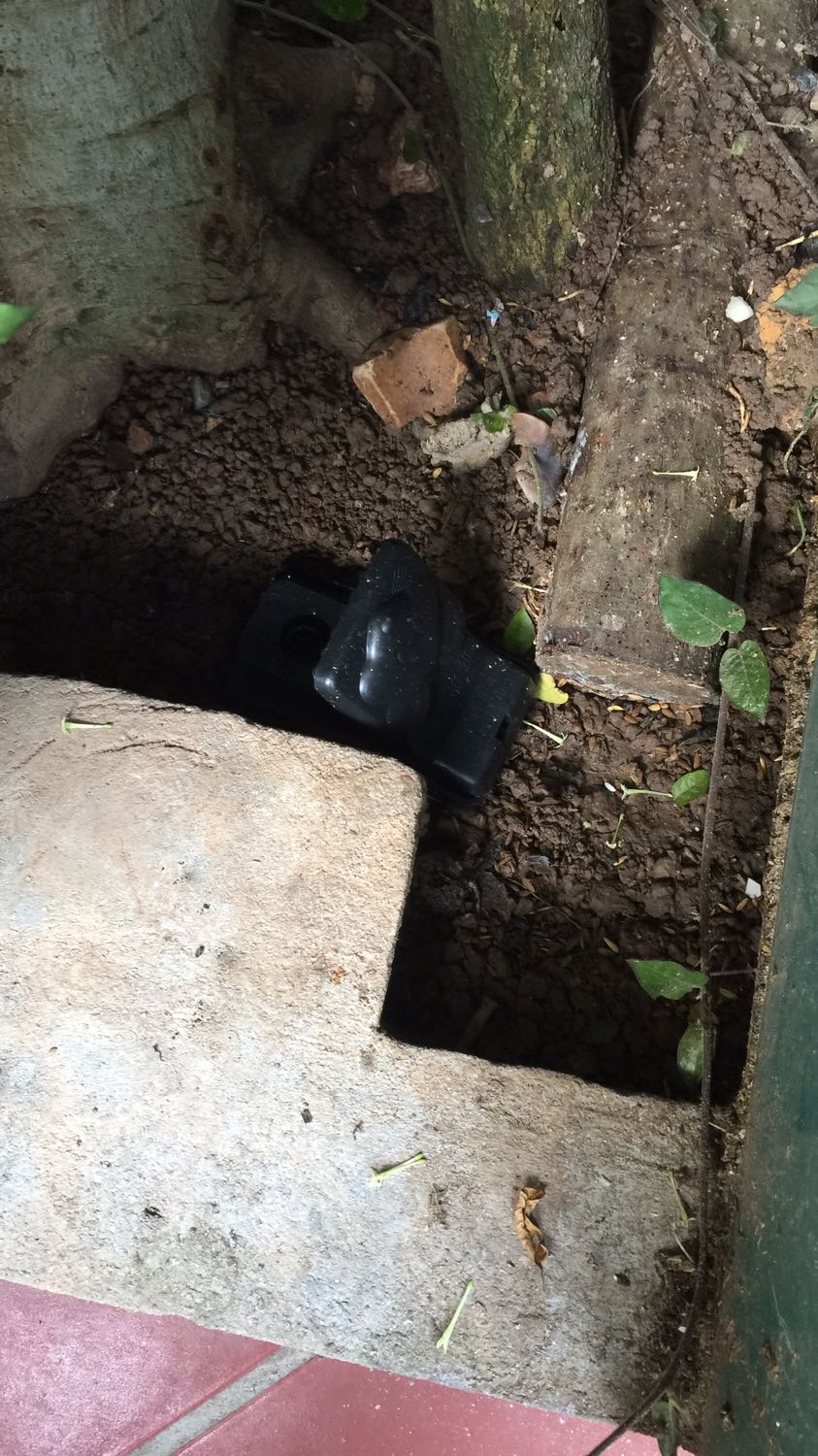 Chất lượng, giá cả cũng hợp lý, nhưng sao bẫy mà mấy đêm mà chẳng có con chuột nào vào, mặc dù rất nhiều chuột???