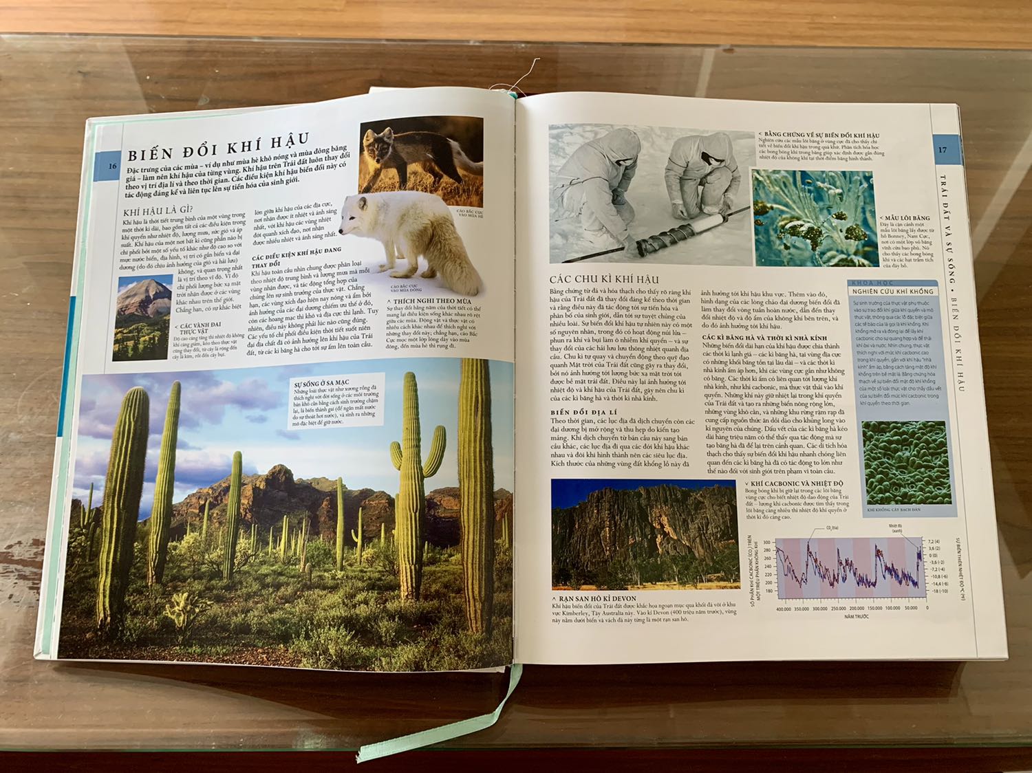 Hộp đóng hàng thì bị rách như bị quăng quật làm sách bên trong cũng móp theo. Mình đặt mua ở Fahasa vì hy vọng nhà sách sẽ không làm móp méo sách nhưng lần này thật thất vọng, giá trị quyển sách không hề rẻ. Nội dung sách thì xuất sắc rồi.