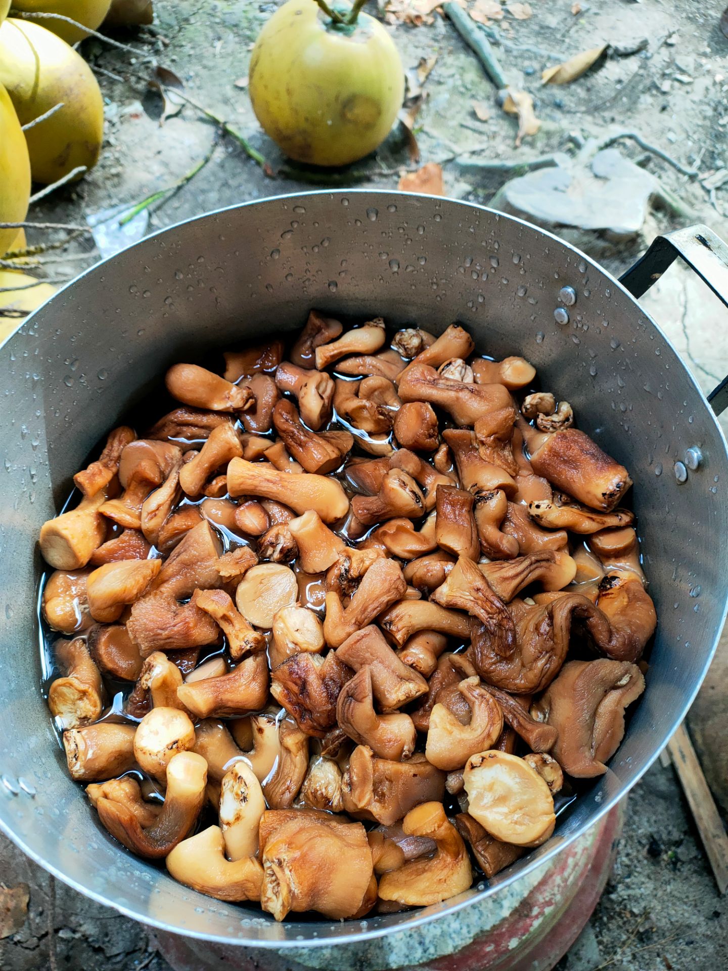 chất lượng cao ạ