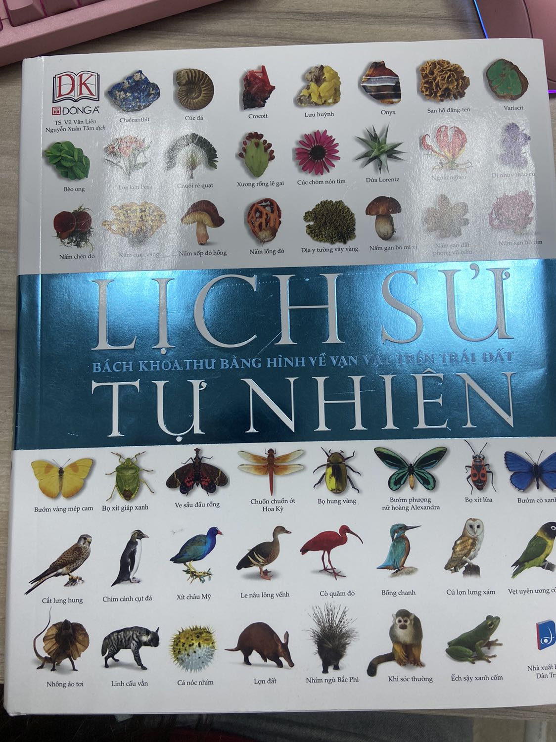 Cuốn bách khoa này thật sự hữu ích cho mọi lứa tuổi. Hình ảnh đẹp, sắc nét trực quan. Cung cấp rất nhiều kiến thức từ tự nhiên, thực vật, động vật những kiến thức nền tảng. Cuốn này ba mẹ có thể cùng xem với con vào mỗi buổi tối cuối tuần thì thật sự tuyệt vời. Vừa có thêm kiến thức cho cả phụ huynh lẫn trẻ nhỏ vừa có không gian để cha mẹ vui chơi bên con cái. Mình canh sale được giá cực kỳ tốt nên hốt liền. Thật sự rất hữu ích, chúc mọi người có thêm nhiều kiến thức và thư giản với những thông tin cùng hình ảnh thú vị