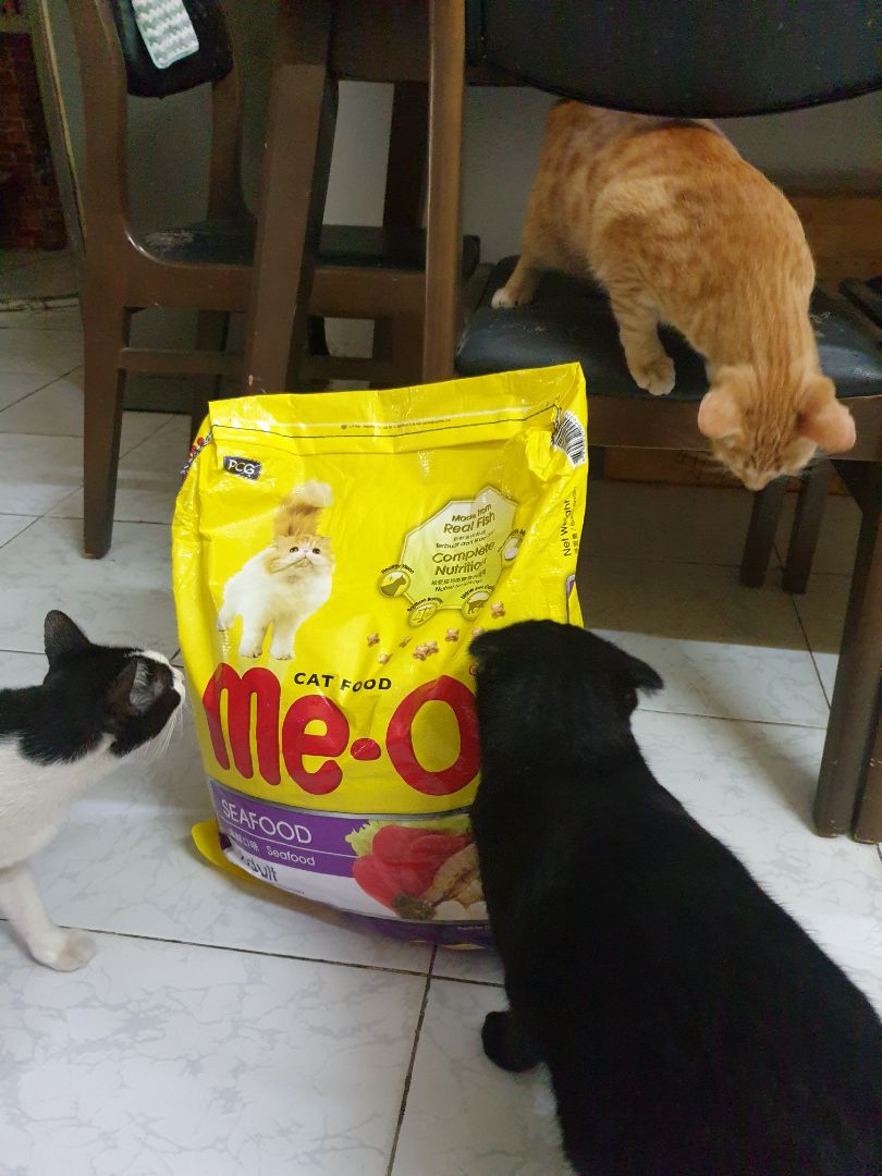 hạt này và catrang thấy giá tốt nhưng chất lượng ok. mèo khoái khẩu. me_0 có 3 vị nên thay đổi khẩu vị cũng ok. hạt này và catrang thấy giá tốt nhưng chất lượng ok. mèo khoái khẩu. me_0 có 3 vị nên thay đổi khẩu vị cũng ok.