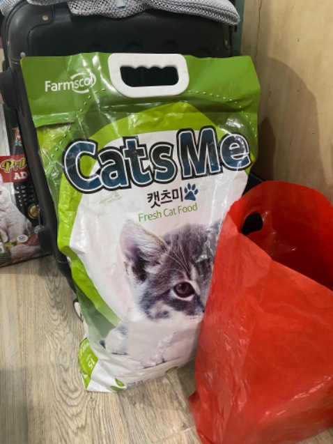 2 con moè nhà em tuyệt thực 3 ngày ko ăn 1 hạt nào luôn, ko biết vì sao ạ, g bịch 5kg này cần tặng lại cho ai cần 🥹