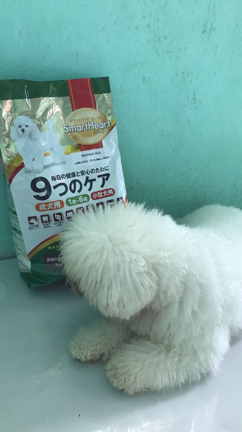 Bé nhà mình thich an loại này